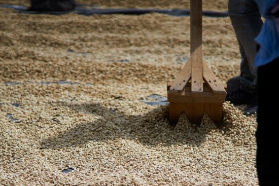 Dark Roast - Nicaragua