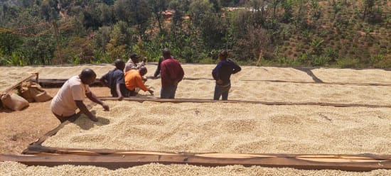 Medium Roast - Tanzania