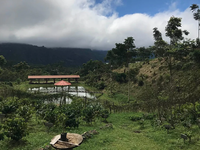 Light Roast - Honduras