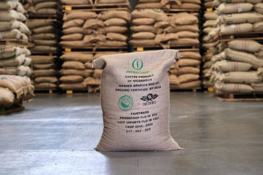 Dark Roast - Nicaragua